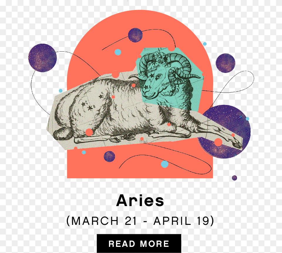 Aries Constellation, Art, Painting, Animal, Bear Free Png