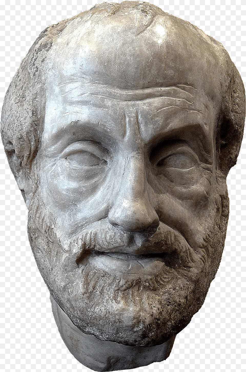 Aristotle Bust, Archaeology, Adult, Photography, Person Free Transparent Png