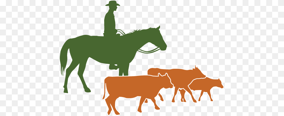 Arizona Beef Council Cattle Raising, Animal, Herd, Cow, Livestock Free Transparent Png