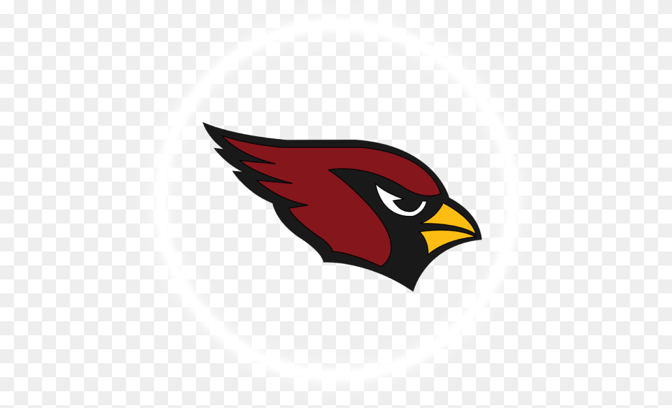 Arizona Cardinal, Animal, Beak, Bird Free Png