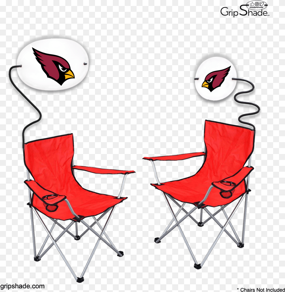 Arizona Cardinals, Canvas, Chair, Furniture, Animal Free Transparent Png