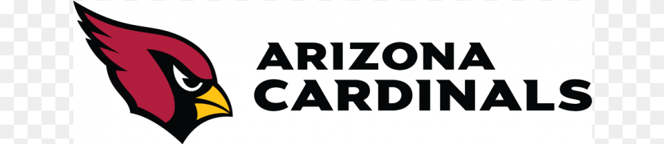 Arizona Cardinals Iron On Stickers And Peel Off Decals Arizona Cardinals, Logo, Animal, Bird Png Image