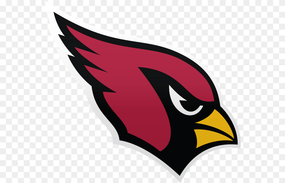 Arizona Cardinals Logo 2019, Animal, Fish, Sea Life, Shark Free Png
