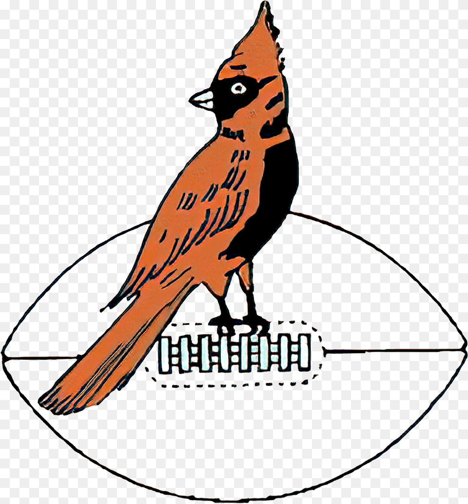 Arizona Cardinals Logo The Most Famous Brands And Company Arizona Cardinals Old Logo, Animal, Bird, Jay, Cardinal Free Png
