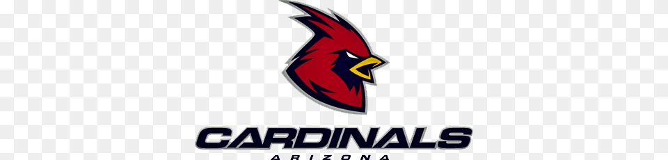 Arizona Cardinals Logo Transparent Arizona Cardinals Logo, Animal, Bird, Cardinal Png Image