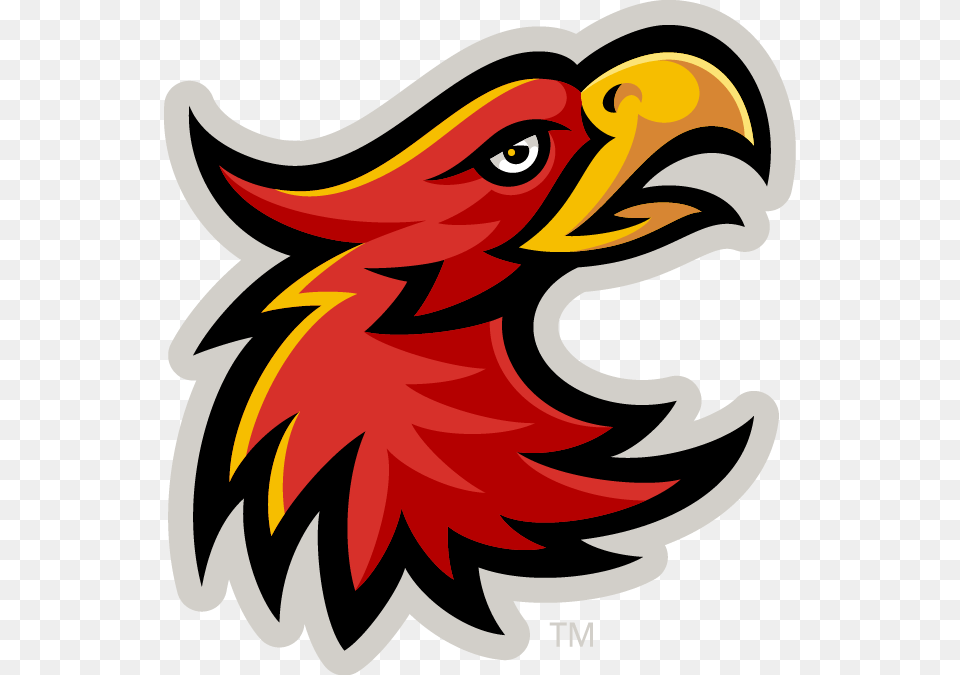 Arizona Christian University Football Logo, Animal, Beak, Bird, Eagle Free Transparent Png