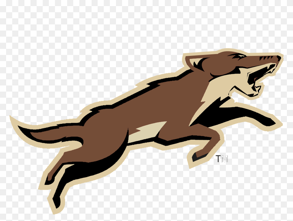 Arizona Coyotes Concept, Animal, Fish, Sea Life, Shark Free Transparent Png