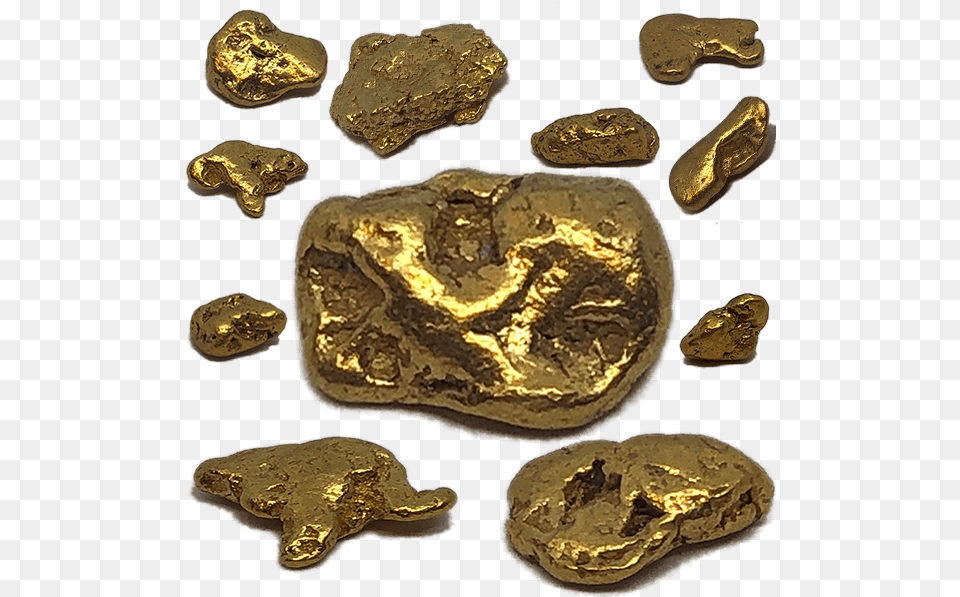 Arizona Gold Nuggets Bronze, Treasure, Accessories, Fungus, Plant Png Image