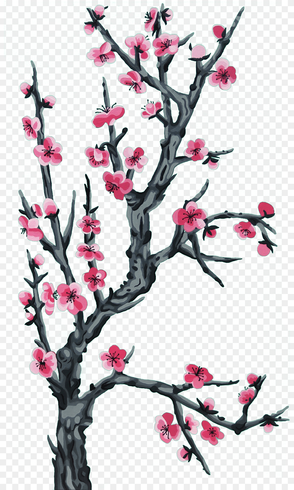 Arizona Iced Tea Background, Flower, Plant, Cherry Blossom Png