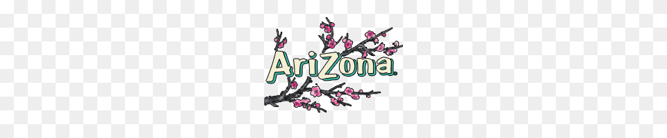 Arizona Iced Tea Kaufen Lieferservice Frei Haus Hamburg, Flower, Plant, Cherry Blossom Free Transparent Png