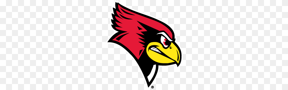 Arizona Illinois State Close Out Wildcat Classic, Animal, Beak, Bird, Adult Free Transparent Png