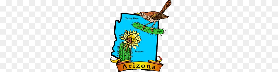 Arizona State Bird Flower Tree Flag, Animal, Wren Png Image