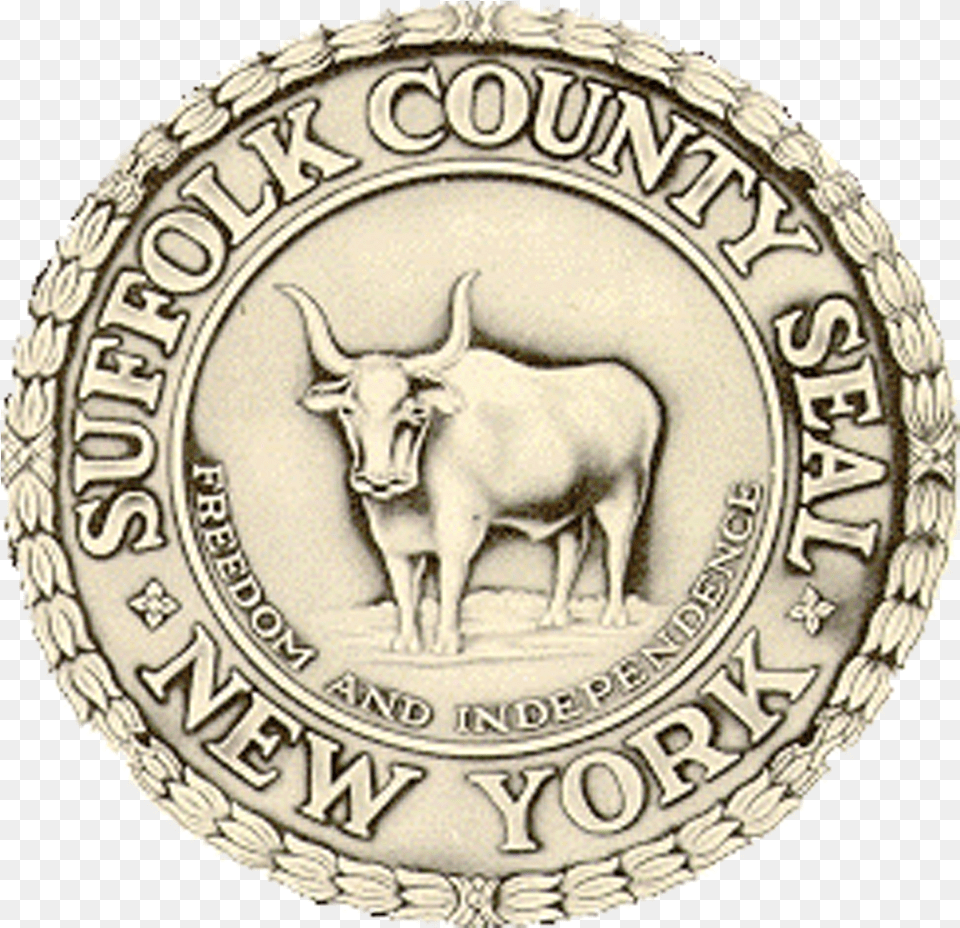 Arizona Team Suffolk County New York Seal, Animal, Cattle, Cow, Livestock Free Transparent Png