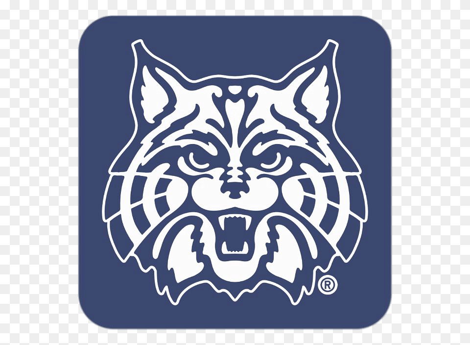 Arizona Wildcats Thumbnail, Logo, Symbol Free Png Download