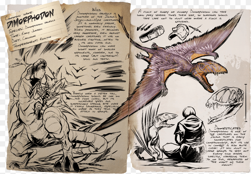 Ark Dimorphodon, Publication, Book, Comics, Adult Png Image