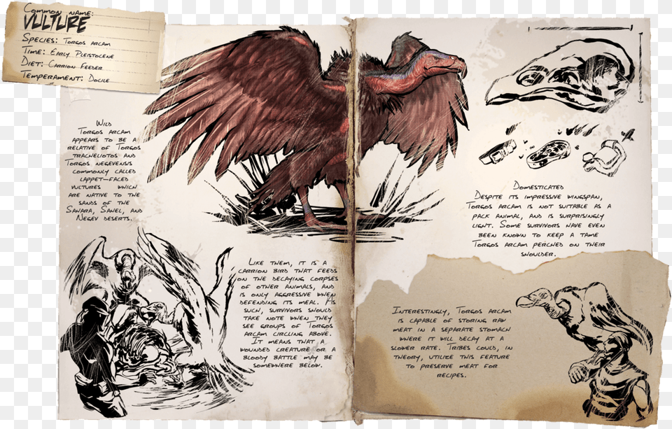 Ark Dossiers Morellatops, Vulture, Animal, Bird, Book Png Image