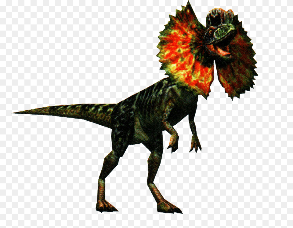 Ark Survival Evolved, Animal, Dinosaur, Reptile, T-rex Png