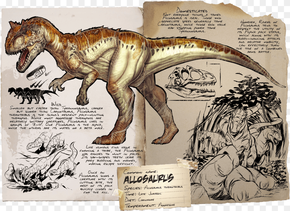 Ark Survival Evolved Allosaurus, Animal, Dinosaur, Reptile, T-rex Free Png