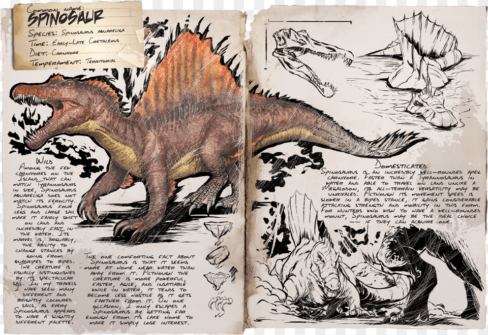Ark Survival Evolved Allosaurus Ark Survival Evolved Spino Dossier, Animal, Dinosaur, Reptile, Book Free Png Download