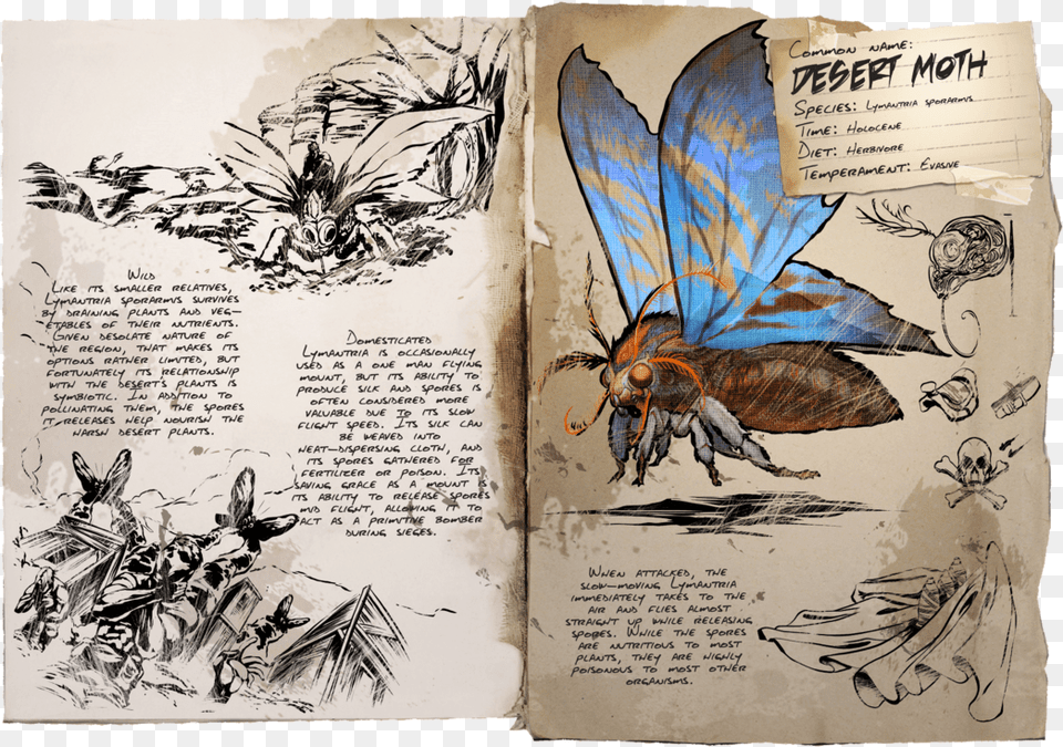 Ark Survival Evolved Animais, Animal, Bee, Insect, Invertebrate Png Image