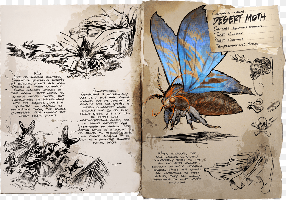 Ark Survival Evolved Animais, Animal, Bee, Insect, Invertebrate Png