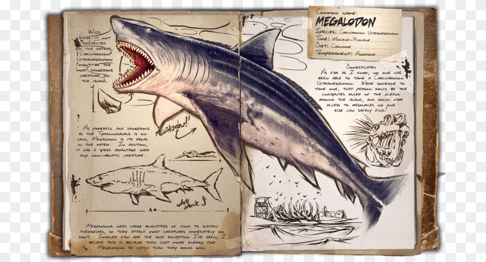 Ark Survival Evolved Ark Dino Dossier Megalodon, Animal, Fish, Sea Life, Shark Free Transparent Png