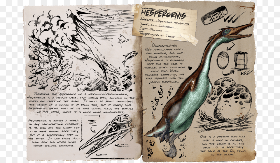 Ark Survival Evolved Hesperornis, Animal, Bird, Book, Publication Free Png Download