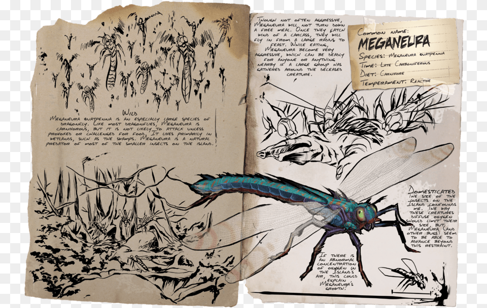 Ark Survival Evolved Pages, Page, Text, Book, Publication Png Image