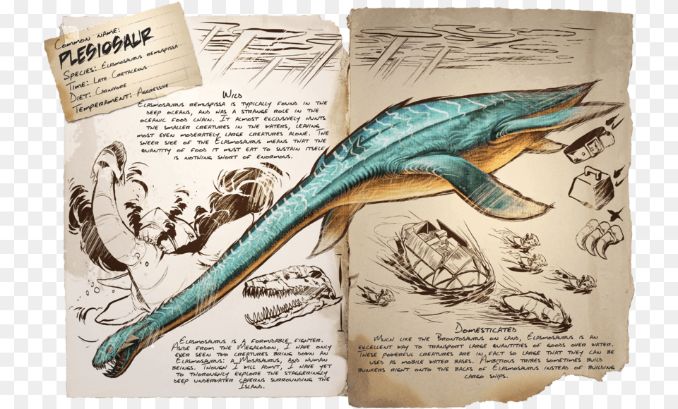 Ark Survival Evolved Plesiosaur, Book, Publication, Adult, Female Free Png Download