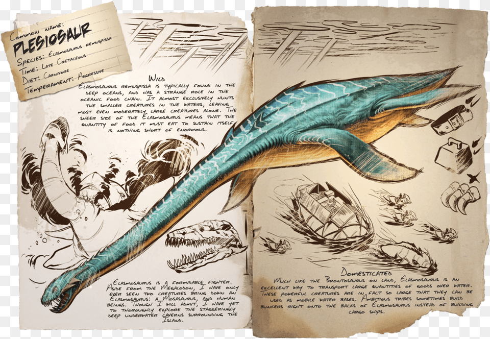 Ark Survival Evolved Plesiosaur, Book, Publication, Person, Advertisement Free Png Download