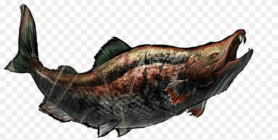 Ark Survival Evolved Salmon, Animal, Fish, Sea Life, Clothing Free Transparent Png