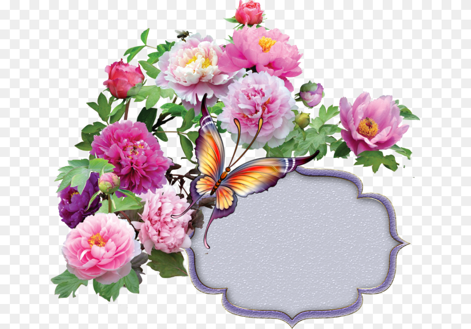 Arka Plan, Dahlia, Flower, Flower Arrangement, Flower Bouquet Png