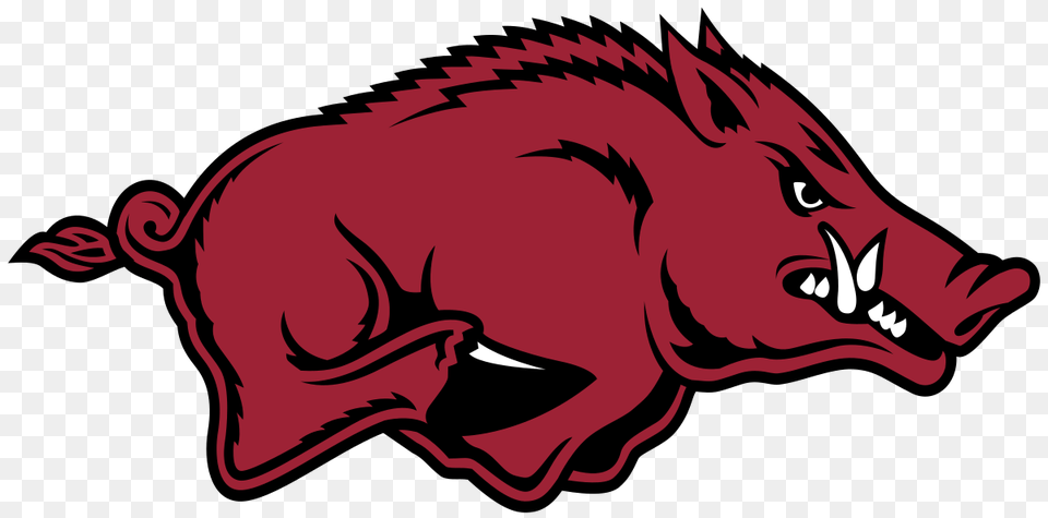 Arkansas Falls To South Carolina To Force Game Of Super Region, Animal, Boar, Hog, Mammal Free Png