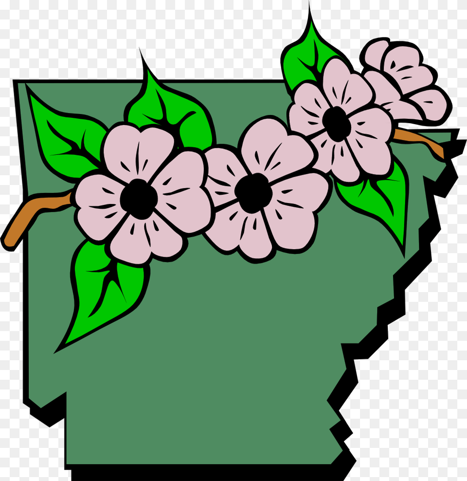 Arkansas Map And Flowers Drawing Arkansas State Flower, Plant, Anemone, Daisy, Geranium Free Png Download