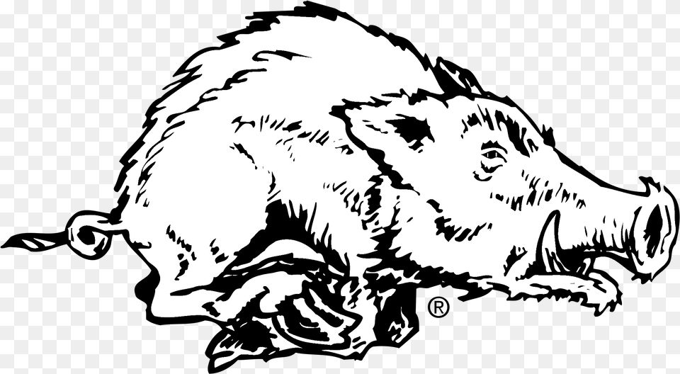 Arkansas Razorback Logo Black And White Walhalla High School Logo, Animal, Pig, Mammal, Hog Free Transparent Png