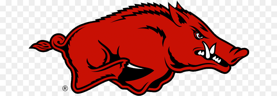 Arkansas Razorbacks, Animal, Hog, Mammal, Pig Free Transparent Png