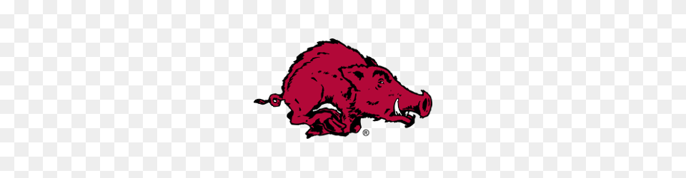 Arkansas Razorbacks Primary Logo Sports Logo History, Animal, Boar, Hog, Mammal Free Png