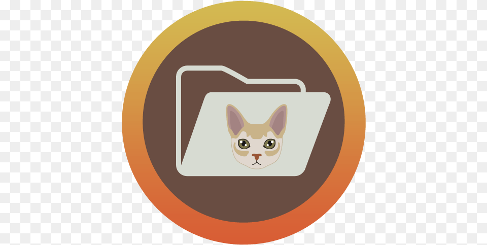 Arlington Animal Hospital Jacksonville Florida Home Domestic Cat, Accessories, Bag, Handbag, Mammal Png Image