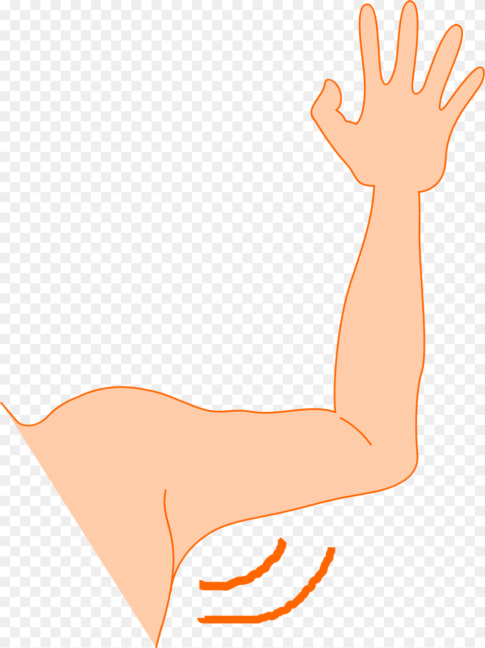 Arm Clipart, Body Part, Person Png