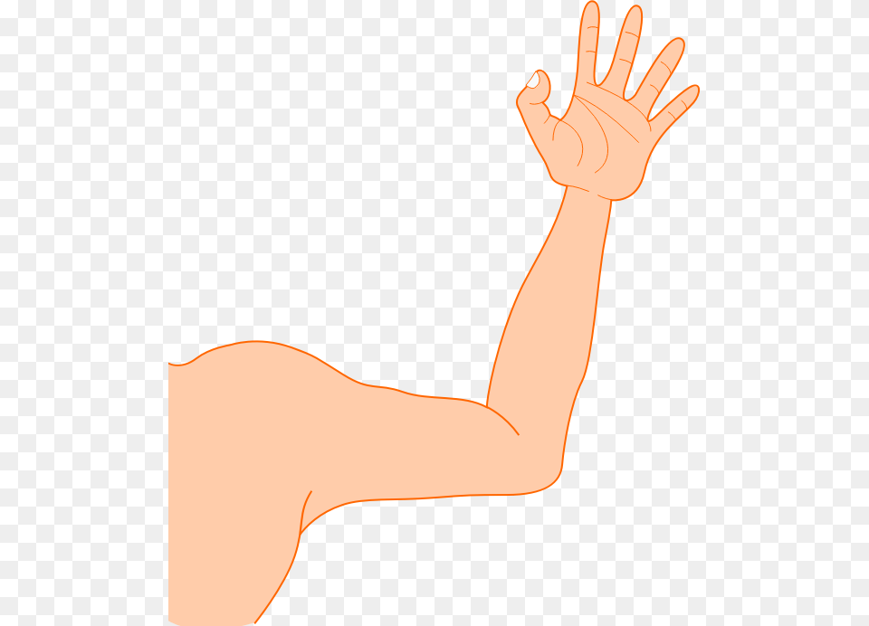 Arm Clipart Clipart Arms, Body Part, Person, Adult, Clothing Free Transparent Png