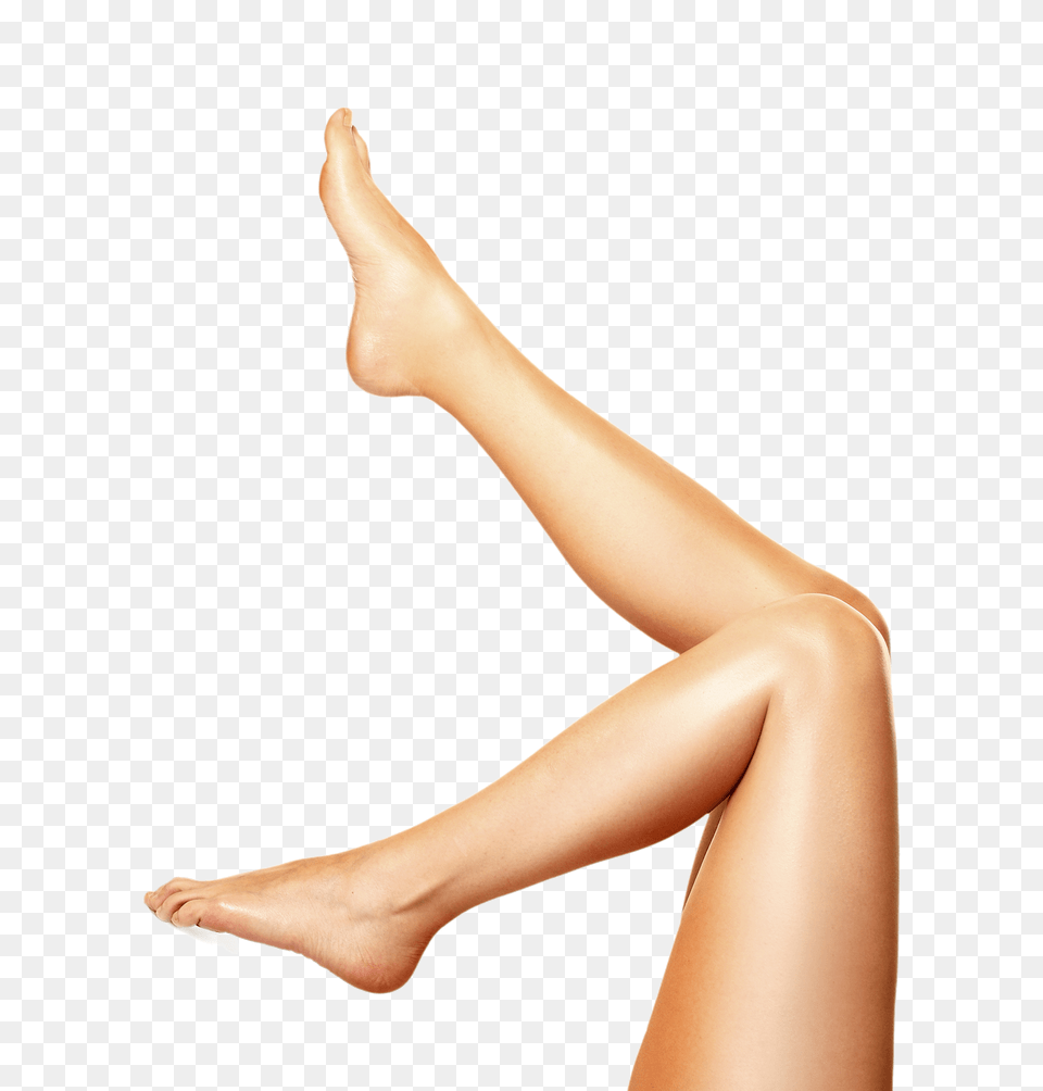 Arm Clipart Hand Foot, Adult, Female, Person, Woman Free Transparent Png