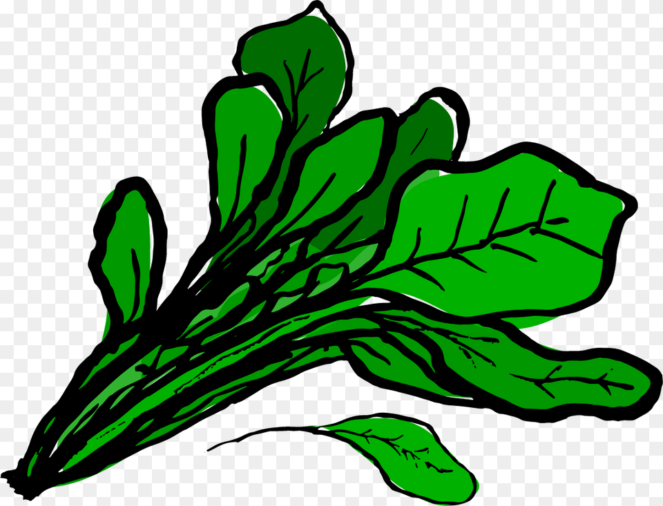Arm Clipart Popeye, Leaf, Plant, Food, Leafy Green Vegetable Free Transparent Png