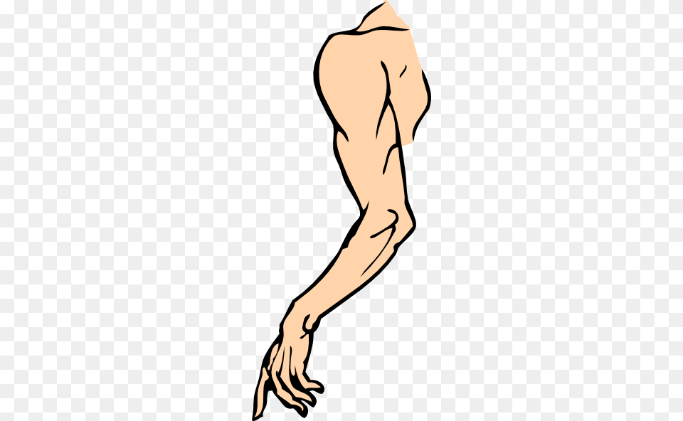 Arm Cliparts, Body Part, Person, Adult, Female Png