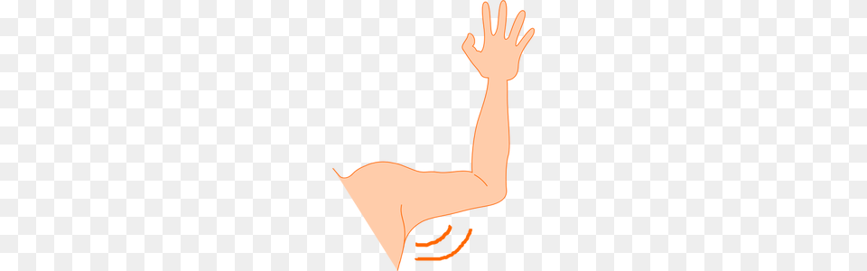 Arm Clipart, Body Part, Person, Hand, Wrist Free Transparent Png