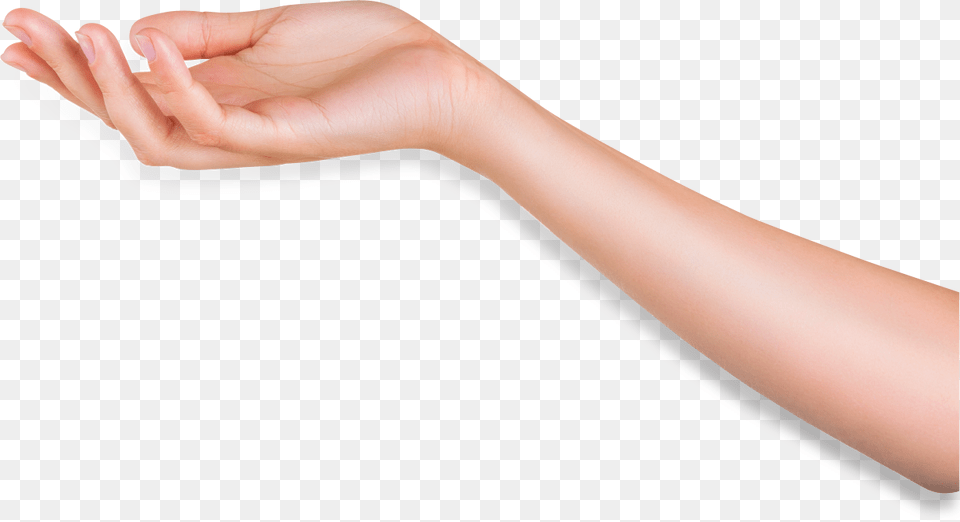Arm Arm, Body Part, Hand, Person, Wrist Png Image