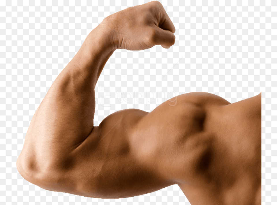 Arm Muscle Arm, Body Part, Person, Adult, Male Png Image