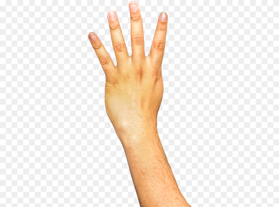 Arm Transparent Background Arm Transparent, Body Part, Finger, Hand, Person Free Png