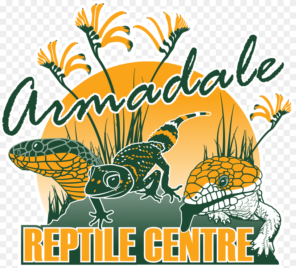 Armadale Reptile Centre, Animal, Zoo, Sea Life, Tortoise Free Png