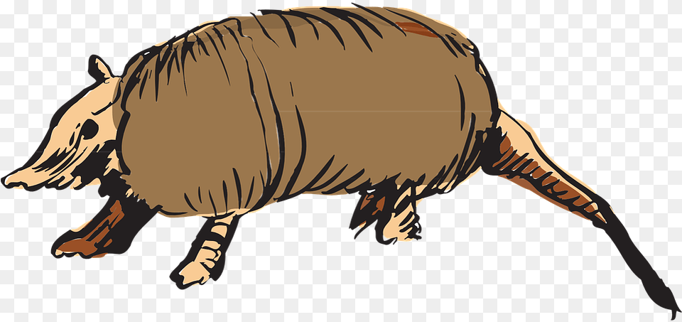 Armadillo, Animal, Mammal, Wildlife, Dinosaur Png