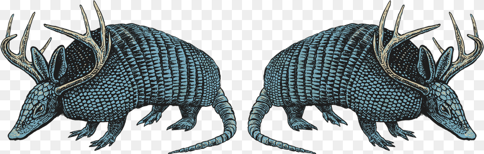 Armadillo, Animal, Mammal, Wildlife, Dinosaur Free Png Download